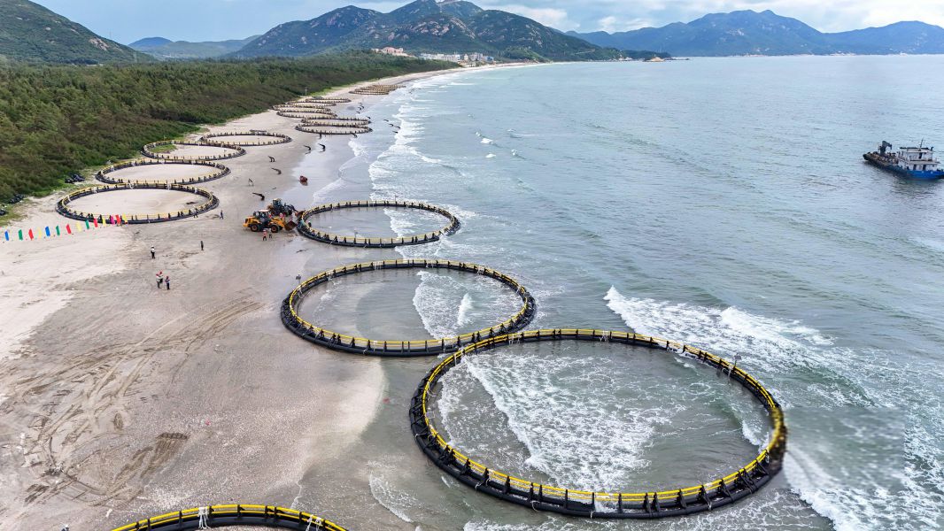 湛江灣重力式圓形深海網(wǎng)箱項目